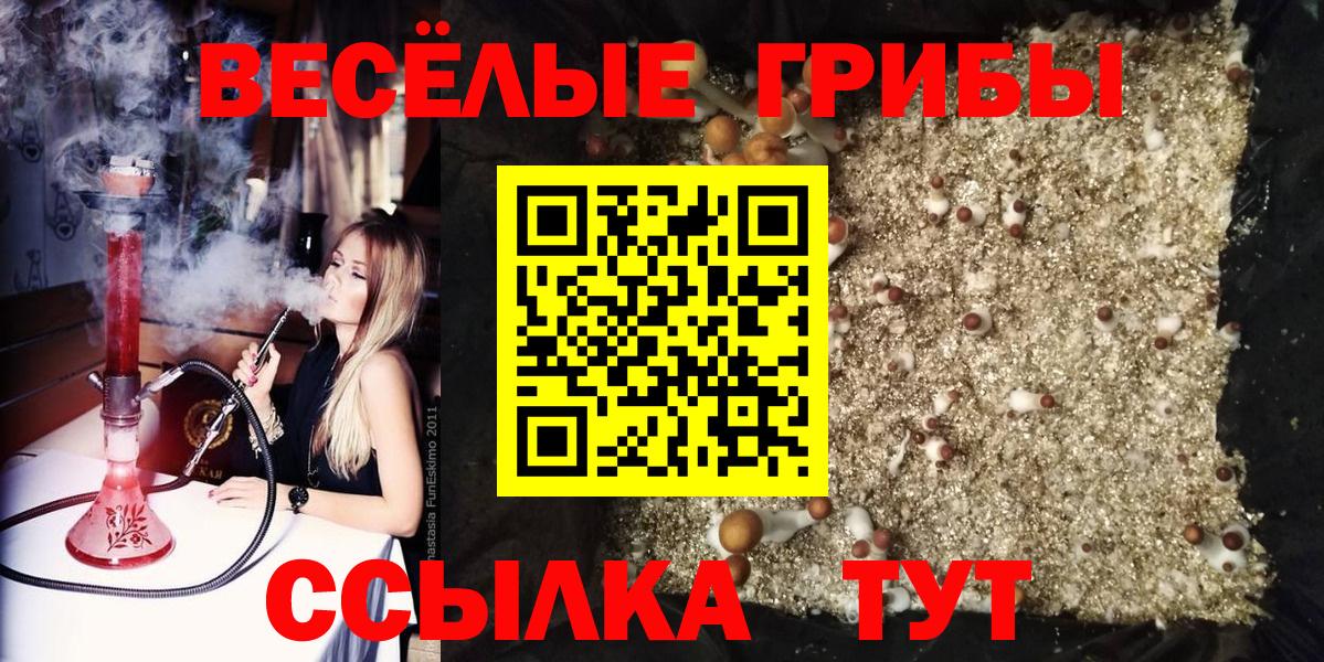 Псилоцибиновые грибы прущие грибы Ликино-Дулёво